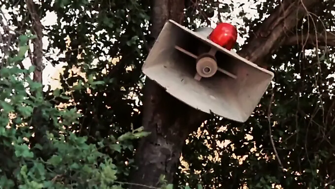 Stjernens Mødom Er Genoprettet I En Varm Video