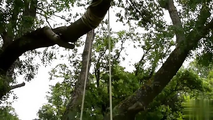 Juego Lujurioso En El Jardín Con Grandes Tetas